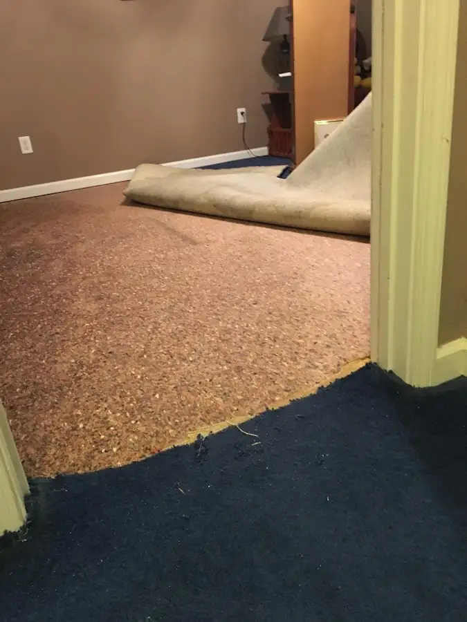 Carpet pad removal revealing water damage during Drying & Dehumidification in Fairmount