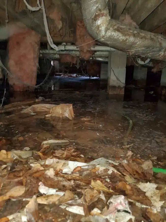 Crawl space flood assessment for Leak Detection & Repair in Fairmount